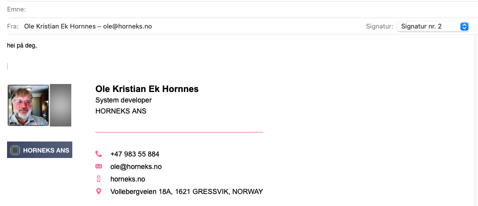 Screenshot of Embedded Image in Mail